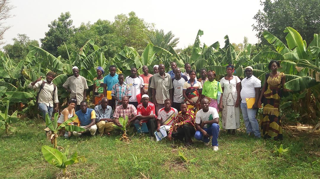 Un processus pour évaluer la diffusion de l’agroécologie en Afrique de l’Ouest