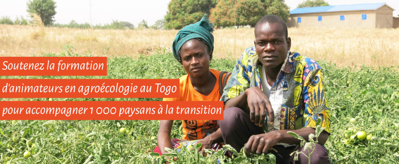 Visuel_CF_Togo_2019