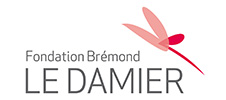 Fondation-Le-Damier