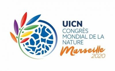 Retour sur le congrès mondial de l’UICN à Marseille