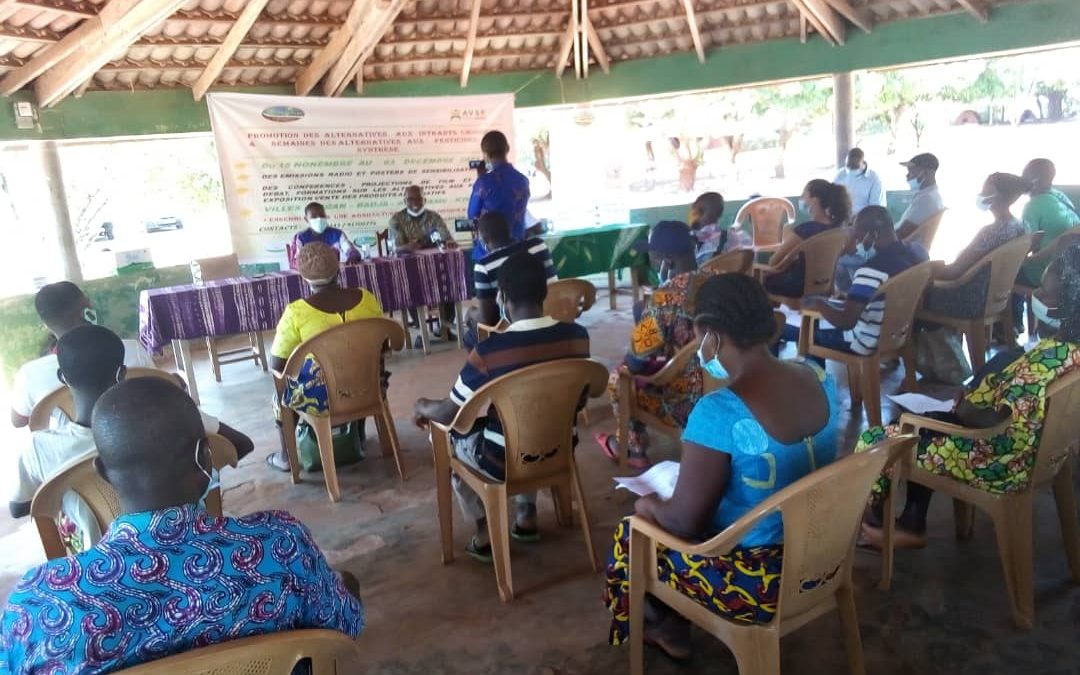 Deux semaines de « Promotion des Alternatives aux pesticides » au Togo