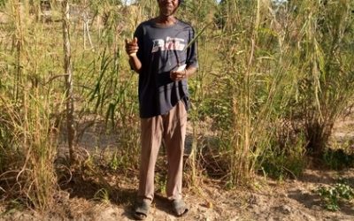 Les activités génératrices de revenus sur les ilots agroécologiques en milieu paysan au Burkina Faso