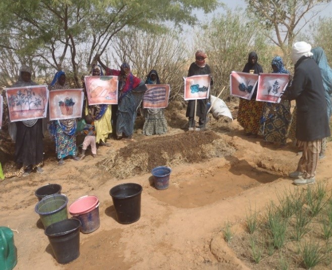 Terre & Humanisme soutien le projet Transition vers l’Agroécologie Paysanne au Mali