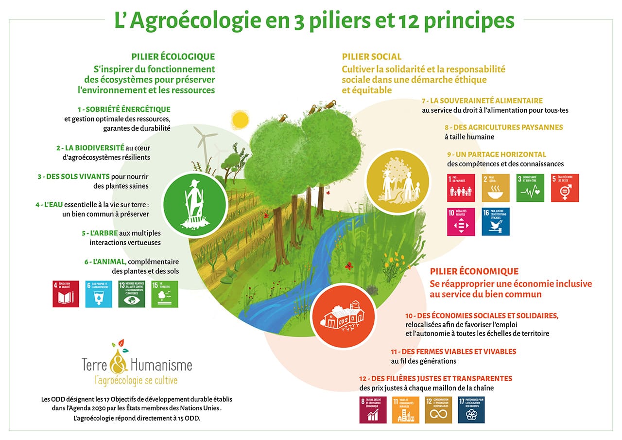 L'agroécologie en 3 piliers et 12 principes