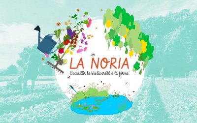 Ensemble, accueillons la biodiversité à la ferme de la Noria !