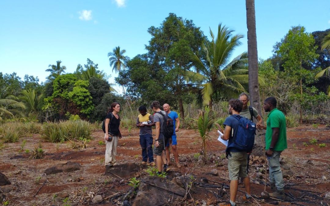 Une expertise à Mayotte pour répondre aux besoins d’accès au foncier agricole
