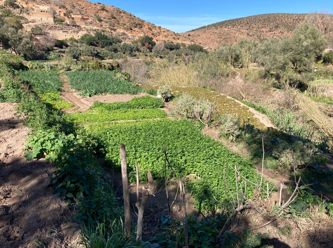 Retour sur la mission de Rita au Maroc