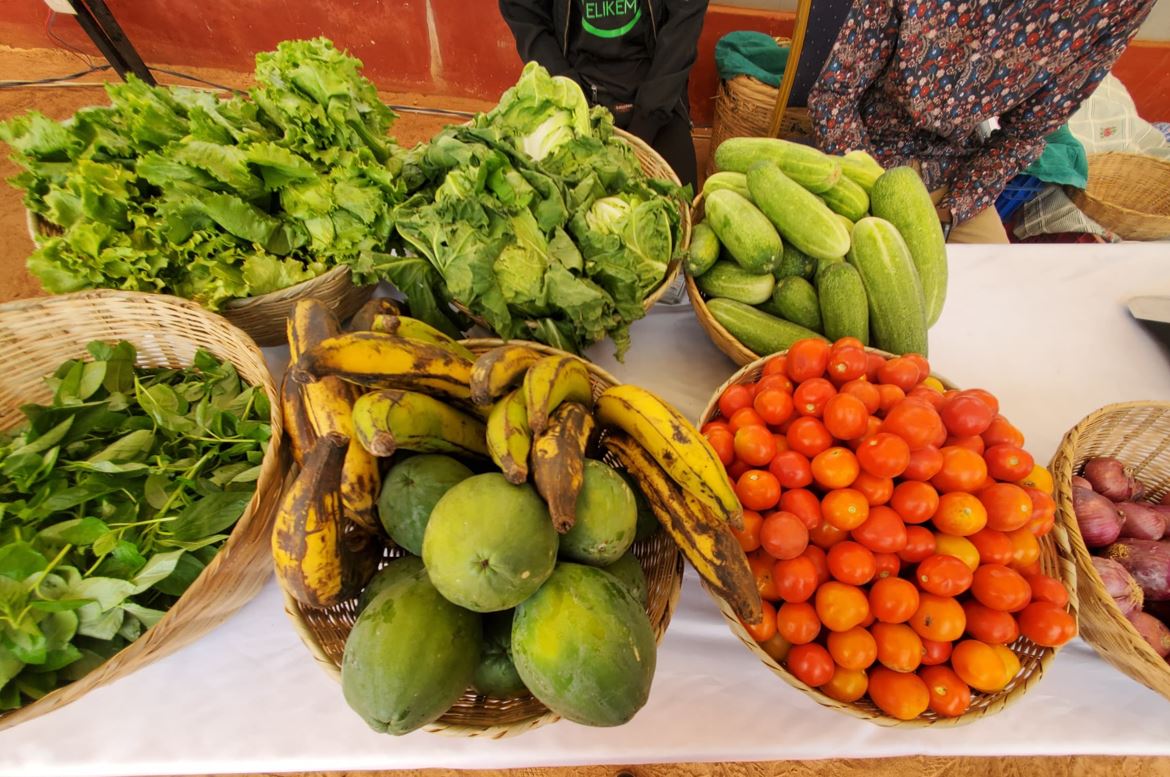 Participation du RéNAAT à la 3ème édition  de la Conférence et Foire du « consommons  bio et bio local au Togo »