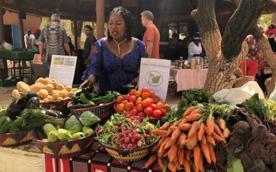 Promouvoir l’agroécologie au Burkina Faso et en Afrique de l’Ouest