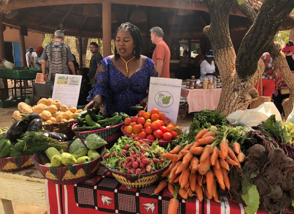 Promouvoir l’agroécologie au Burkina Faso et en Afrique de l’Ouest