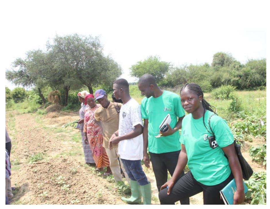 ORGIIS Ghana et Burkina Faso : Partage d'Expériences en Agroécologie pour un Avenir Durable