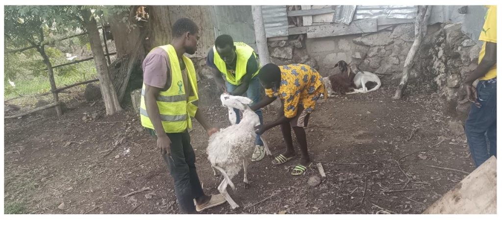 Élevage durable en agroécologie : L'AREJ Innove avec des Petits Ruminants pour un futur écologique