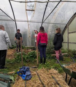 formation Semis en barquette en pépinière