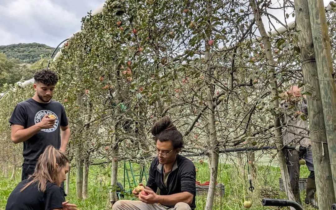 Octobre à la Noria : Récoltes, Intempéries et Initiatives Agroforestières