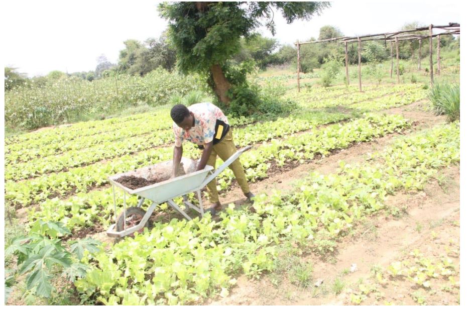 ORGIIS Ghana et Burkina Faso : Partage d'Expériences en Agroécologie pour un Avenir Durable