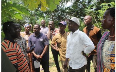 ORGIIS Ghana en visite au Burkina Faso : second partage d’expériences en agroécologie et agriculture biologique pour la délégation