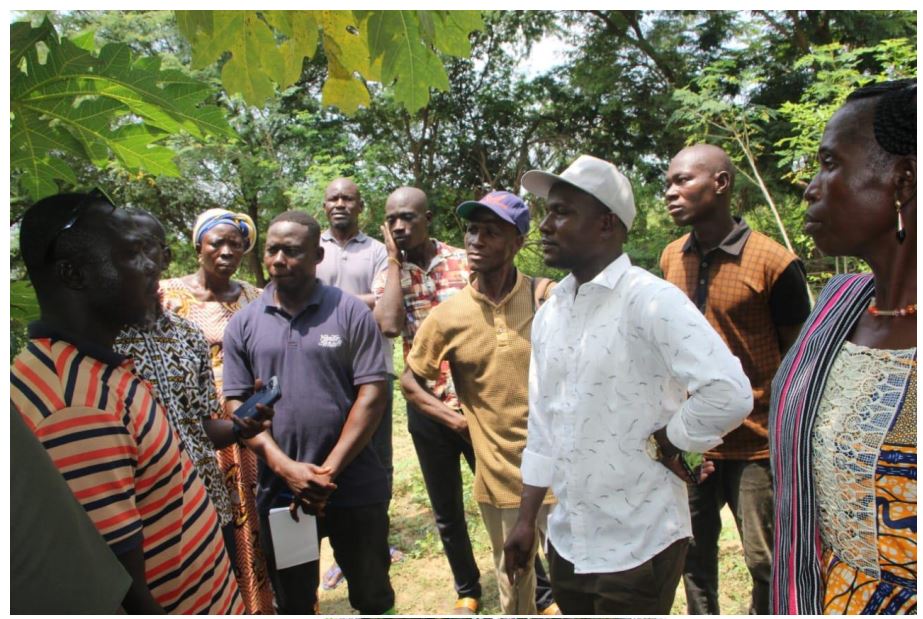 ORGIIS Ghana et Burkina Faso : Partage d'Expériences en Agroécologie pour un Avenir Durable