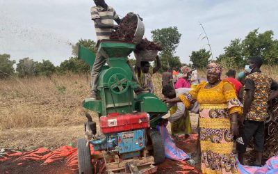 Burkina Faso – L’égraineuse polyvalente : une petite machine à fort impact socio-économique