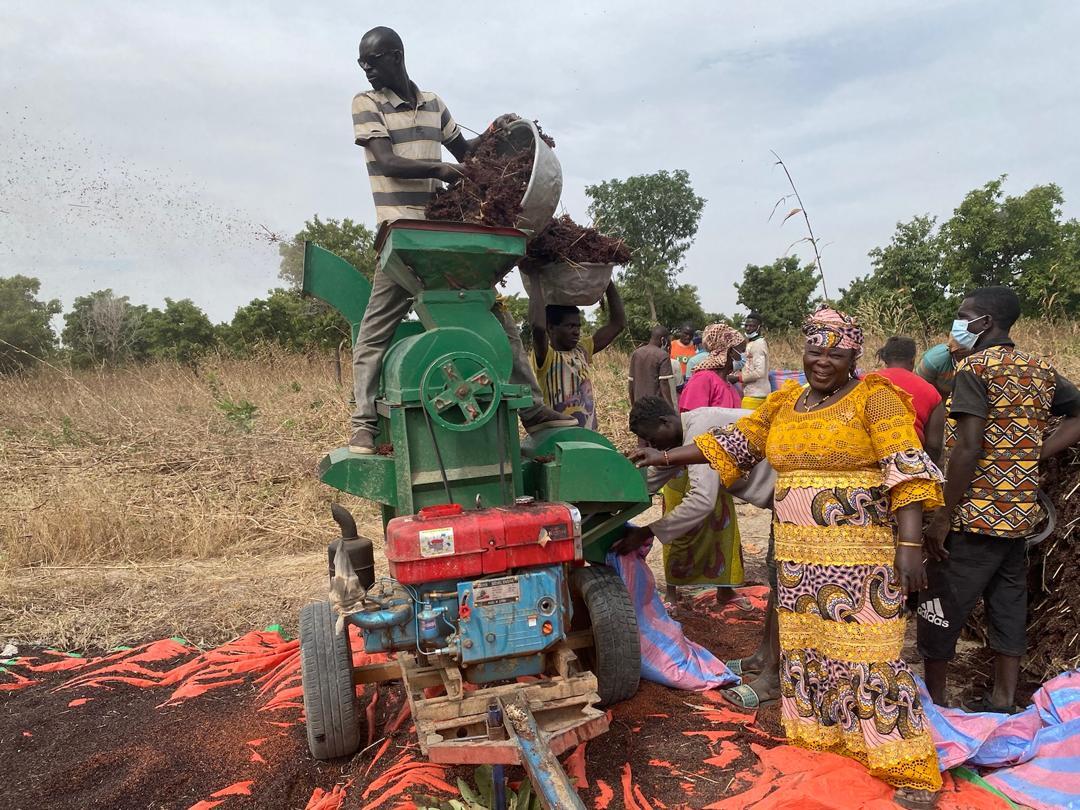 [Burkina Faso] L’égraineuse polyvalente : une petite machine à fort impact