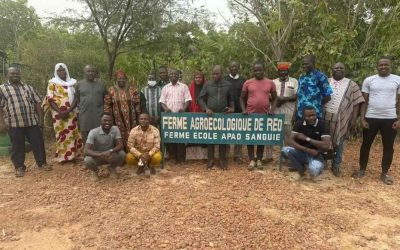 Agroécologie au Burkina Faso : Réunion du Conseil d’Administration du RBIA