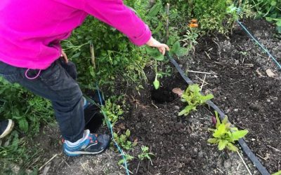 Pôle Sensibilisation : Des ateliers découverte pour les enfants