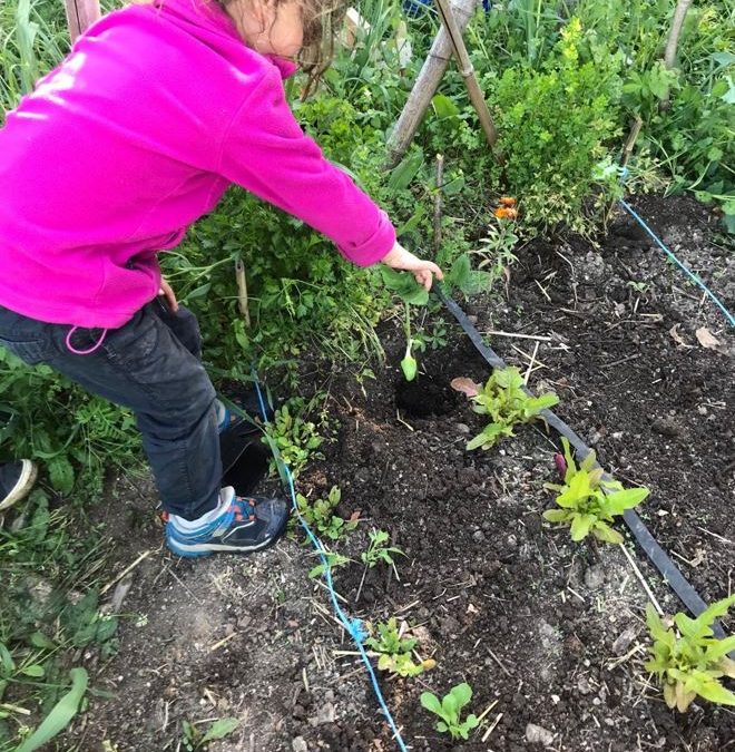 Pôle Sensibilisation : Des ateliers découverte pour les enfants