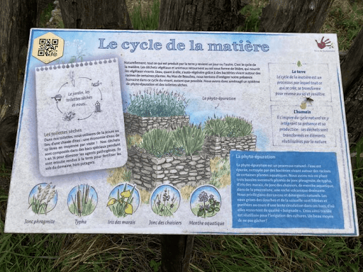 L’entretien de la phytoépuration : le conseil du mois