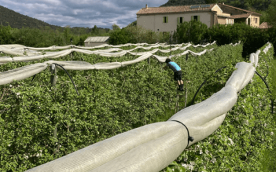 Lettre d’infos / Brèves Noria avril 2025