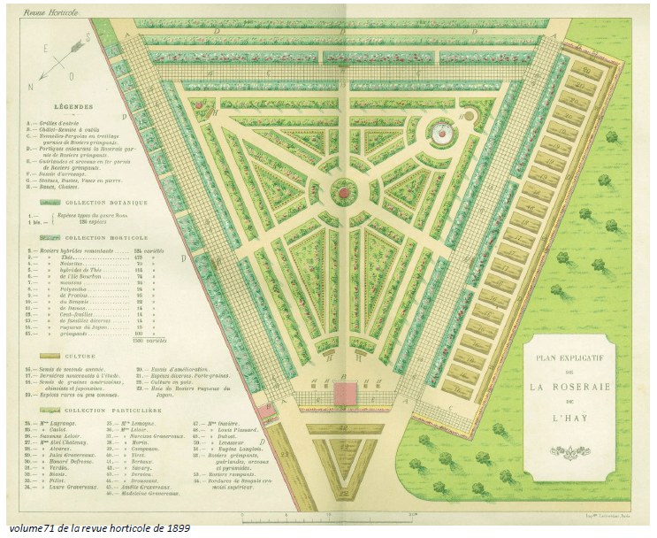 Figure 1 : La Roseraie d'origine crée par Jules Grevereau et dessiné par Edouard André