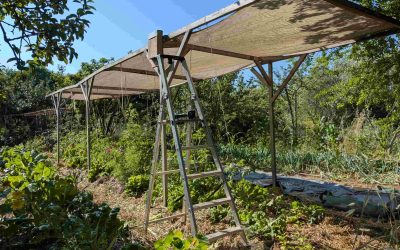 Les nouvelles des jardins de Terre et Humanisme – Juin 2025