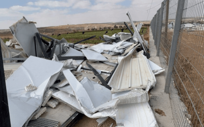 [INTERNATIONAL] Terre & Humanisme réaffirme sa solidarité avec le peuple palestinien après la destruction de la banque de semences d’Hébron