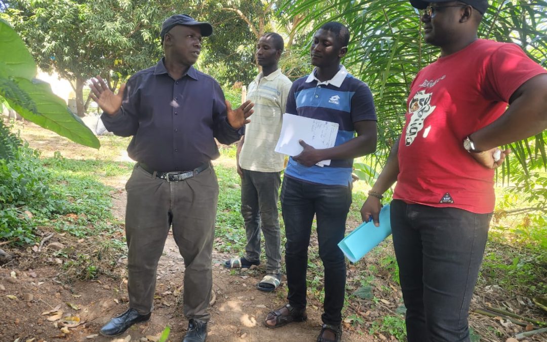 Appel à Candidature : Évaluation Finale Externe du Projet PASA-AO Phase 3