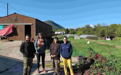 Brèves de la Noria – Octobre 2025