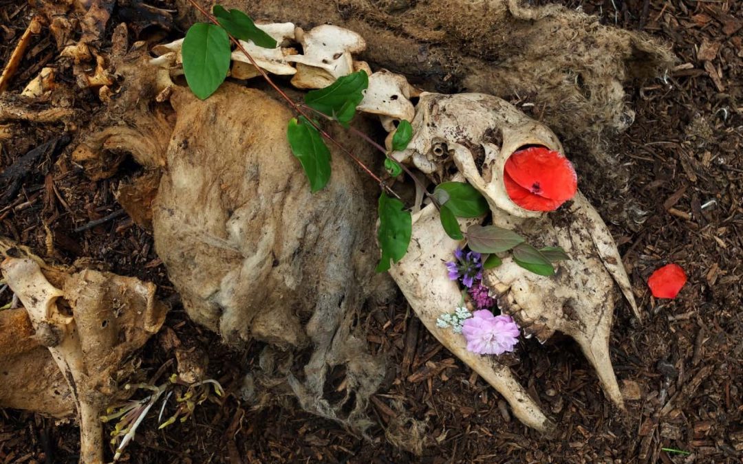 Le Compostage Funéraire : Et si nous rendions à la terre ce qu&rsquo;elle nous a prêté ?