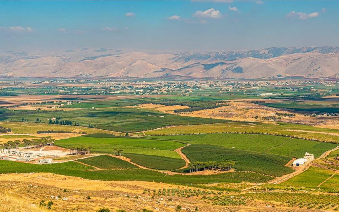 [COMMUNIQUE] Terre & Humanisme exprime son soutien aux populations touchées par les dernières offensives