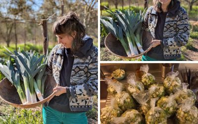 [JARDIN] Le printemps s&rsquo;éveille enfin dans nos jardins pédagogiques !