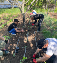 Les Nouvelles des Jardins Pédagogiques – Avril 2026