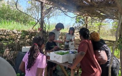 Éclats d&rsquo;Avril : Partage, Apprentissage et Solidarité