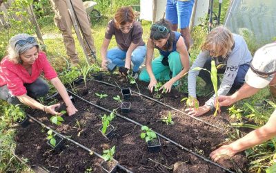 Les nouvelles du jardin du Mas de Beaulieu – Mai 2026