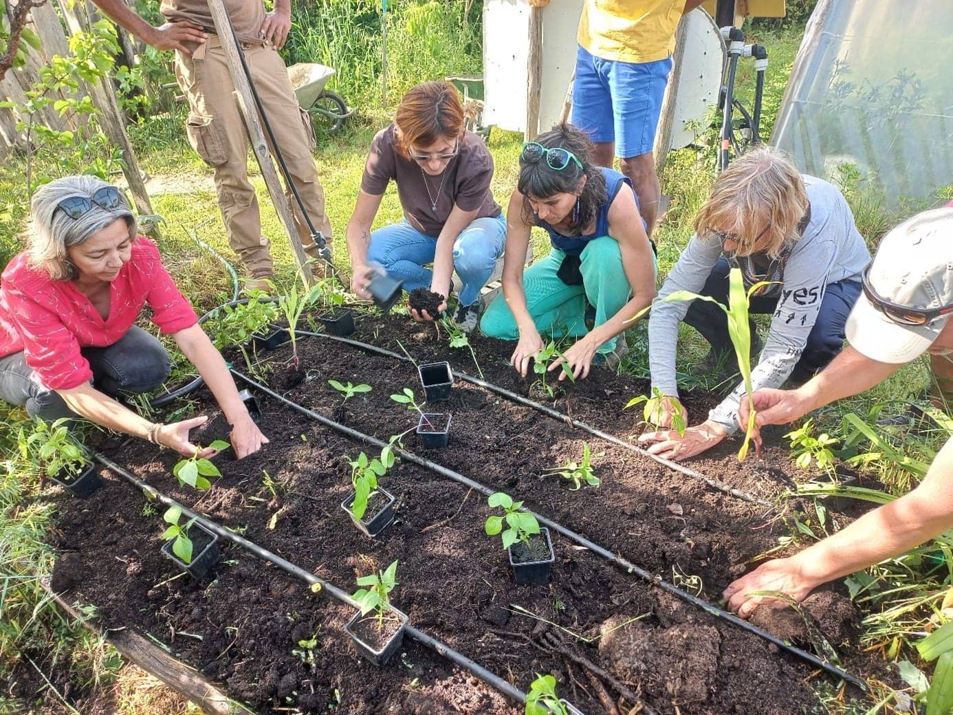 Les nouvelles du jardin du Mas de Beaulieu – Mai 2026